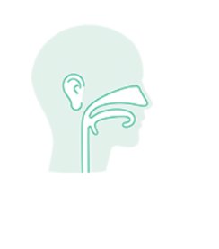Ear-Nose-Throat Surgery by Aesculap B. Braun — Sahara Medika Prima