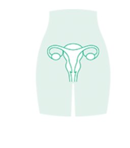 Gynaecology by Aesculap B. Braun — Sahara Medika Prima