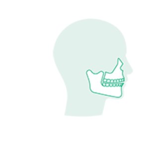 Maxillo-Facial Surgery by Aesculap B. Braun — Sahara Medika Prima