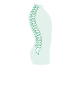 Spine Surgery by Aesculap B. Braun — Sahara Medika Prima
