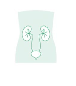 Urology by Aesculap B. Braun — Sahara Medika Prima