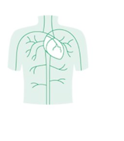 Vascular Surgery by Aesculap B. Braun — Sahara Medika Prima